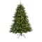 5ft. Pre-Lit South Carolina Spruce Artificial Christmas Tree with Clear LED Lights